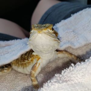 Meet your Posher, Hannah grace